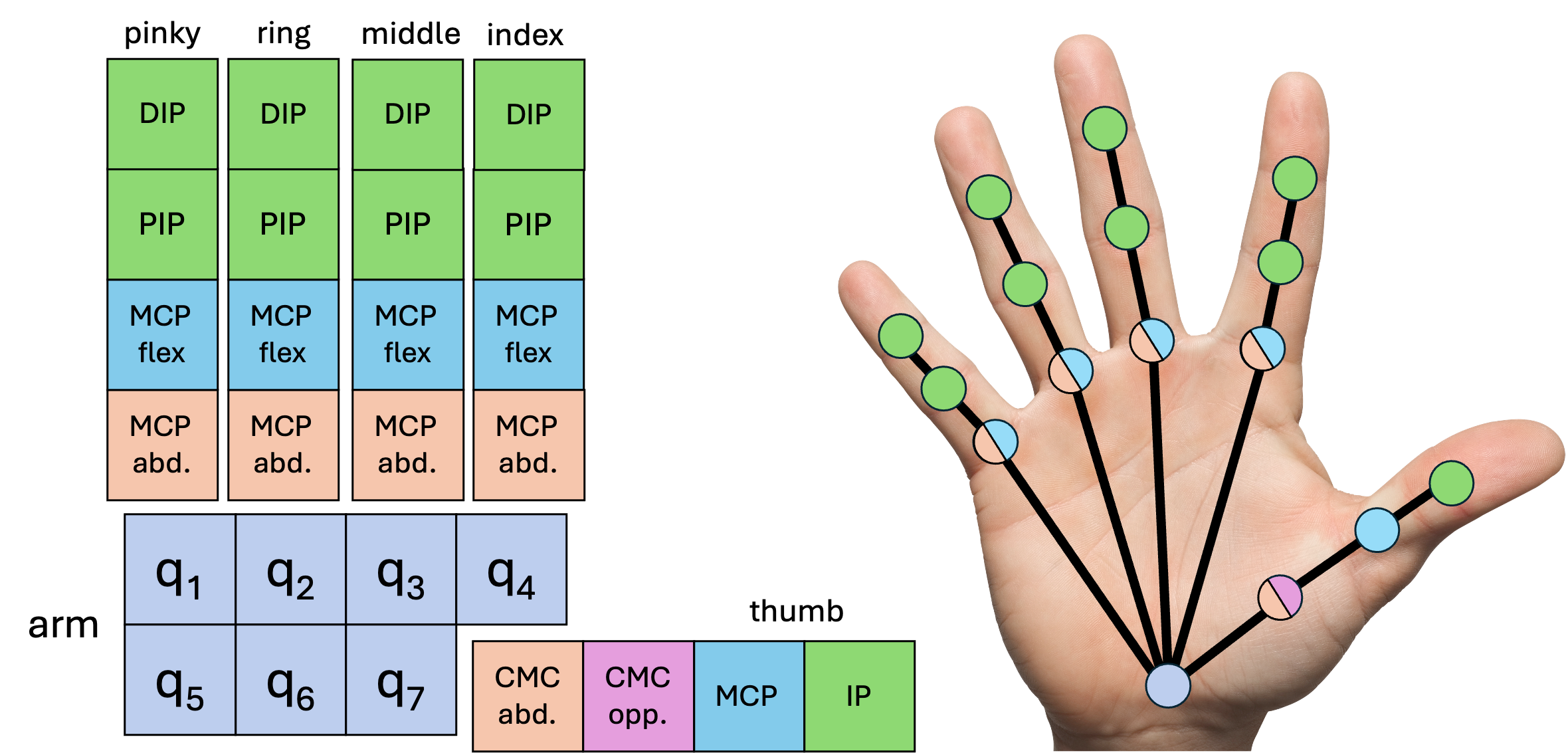 Canonical shared action space
