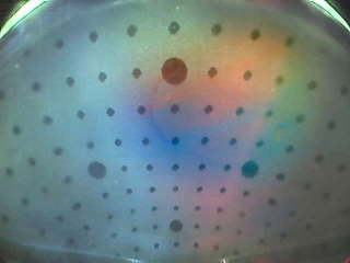 Rendered RGB tactile image of the right ring fingertip during cup contact